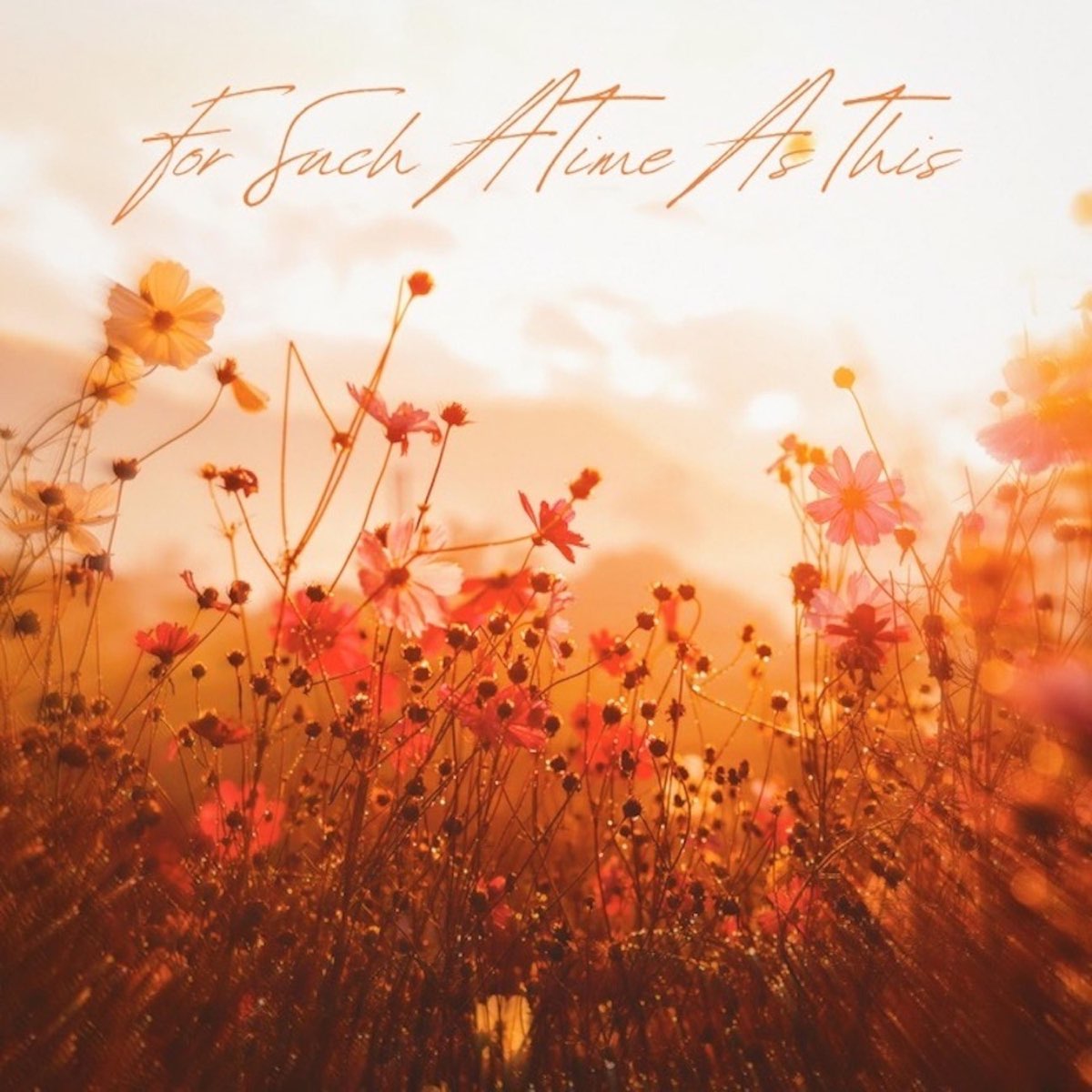 For Such A Time As This Single Album By Amanda Nolan Apple Music for-such-a-time-as-this-single-album-by-amanda-nolan-apple-music