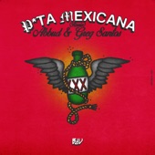 Puta Mexicana (feat. Mc Menor MT, Yuri Redicopa & MC Pelé) [Remix] artwork