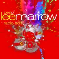 To Go Crazy — Lee Marrow