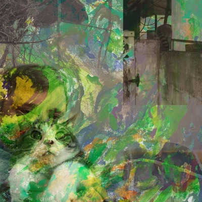 Until It Goes - Single