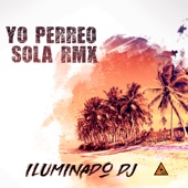 Yo Perreo Sola (Remix) artwork