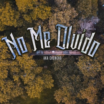 No Me Olvido - Single