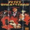 Petey Wheatstraw (feat. ANOMOLLY & Figerson) - Foule Monk lyrics