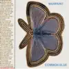 Common Blue