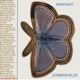 COMMON BLUE cover art