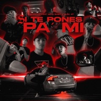 si te pones pa mi (feat. ¥ EleK-47 ¥ & Nico Baby) - Single - shispop