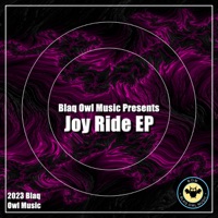 Joy Ride - Blaq Owl