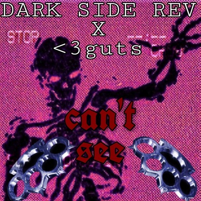Can't See (feat. <3Guts) - Single