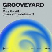 Mary Go Wild! (Franky Rizardo Remix) artwork