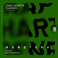 Monstera - EP - Jaap Ligthart & Koenrahd