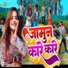 Jamun Kare Kare - Single