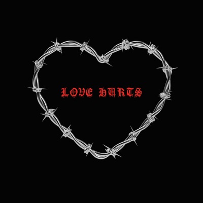 Love Hurts (feat. Andrew Money & Matte D.O.A) - Single