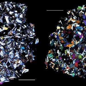 The Lithic Principle (feat. Ed Dudley & James Allsopp)