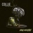 Collie (feat. Inna Vision)