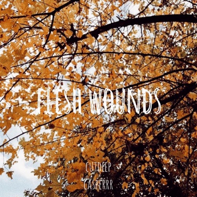 Flesh Wounds (feat. Casperrr) - Single