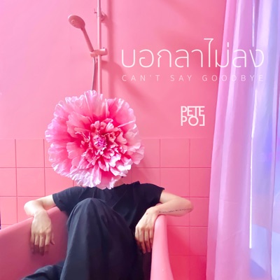 Can't Say Goodbye - Single