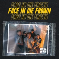 Face In Die Frown (feat. Rikky Rozay, Luie Louis, Orthur & HADDADI) - Single - Bird