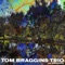 Let Us - Tom Braggins Trio lyrics