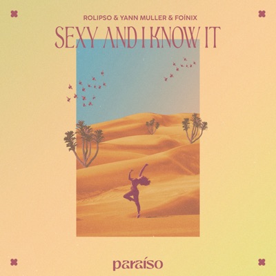 Sexy And I Know It - Single