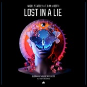 Lost in a Lie artwork