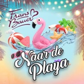 Naar de Playa artwork