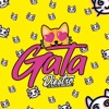 Gata - Single