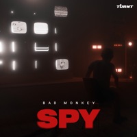 SPY - Single - Bad Monkey