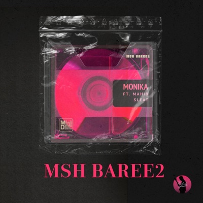 MSH BREE2 (feat. Mahib sleat) - Single