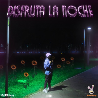 Disfruta la noche - Single