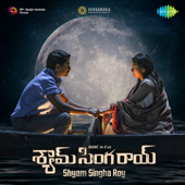 Shyam Singha Roy (Original Motion Picture Soundtrack) - Mickey J Meyer & Sai Pallavi