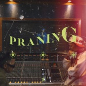 Praning artwork