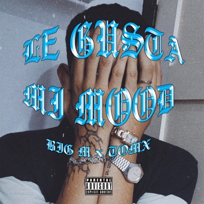 Le Gusta Mi Mood (feat. TOMX) - Single