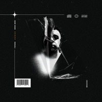 Typical - Single - Bash Wise