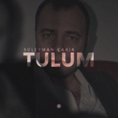 Süleyman Çakır Tulum artwork