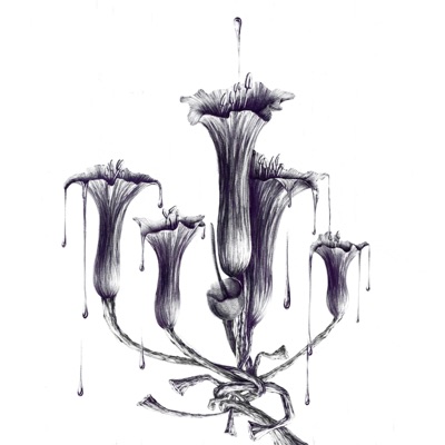 Caprice & Harmonie : 1er Cycle (feat. sushiboy011) - Single