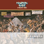Marvin Gaye - I Want You - Jam - Alternate Mix