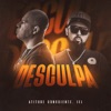 Desculpa - Single