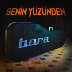 Senin Yüzünden