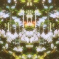 Carolina Silverbell (feat. Rachel Tamapolu) - Single - American Teleport