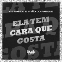 Ela Tem Cara Que Gosta - Single - Vitão do Parque & Dj Nando