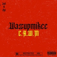 CRWM - Single - WassupMikee