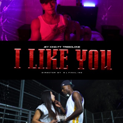 I like you (feat. TrebolOne) - Single
