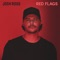 Red Flags - Josh Ross lyrics