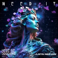 Need It - Single - Justin Rezvani