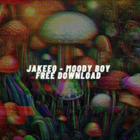 Moody Boy - Single - Jakeeq