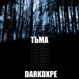 Розы Darkdxpe
