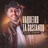 Vaqueiro Tá Gostando - Single