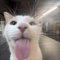 Sample Shenanigans - Single - JXM