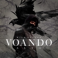 Voando Alto - Single - Wild Santos