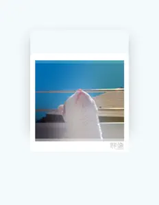 Escucha a masafumi sato, mira vídeos musicales, lee la biografía, consulta fechas de giras y mucho más.